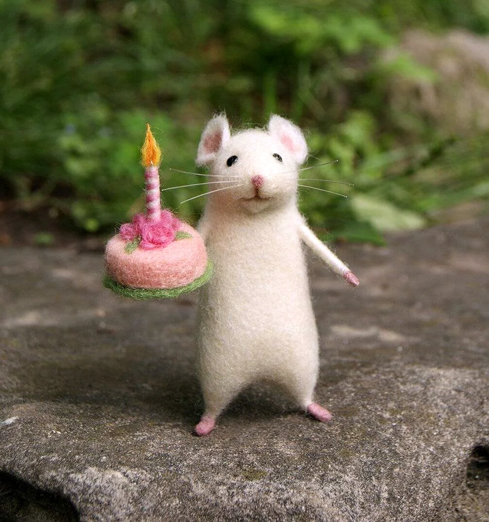 День рождения мышонка