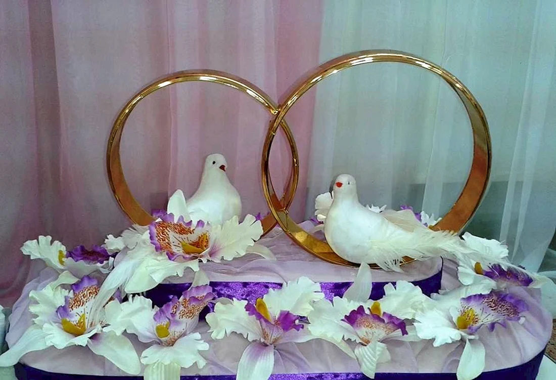 Лебеди на свадьбу