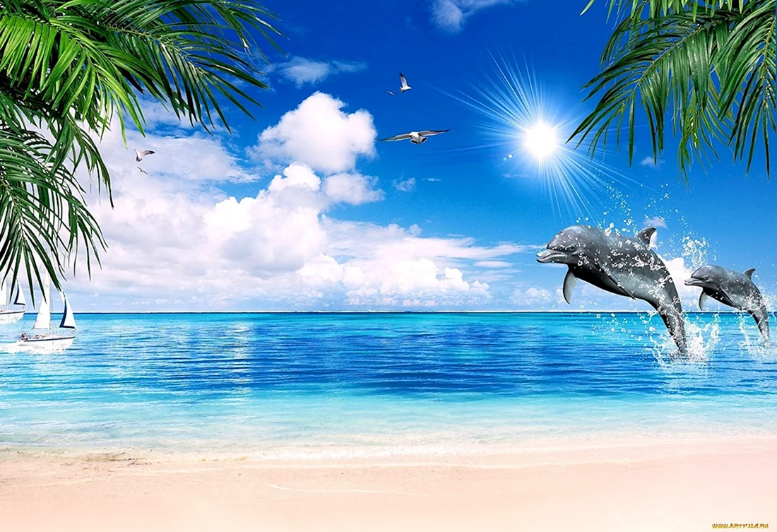 Море пальмы дельфины