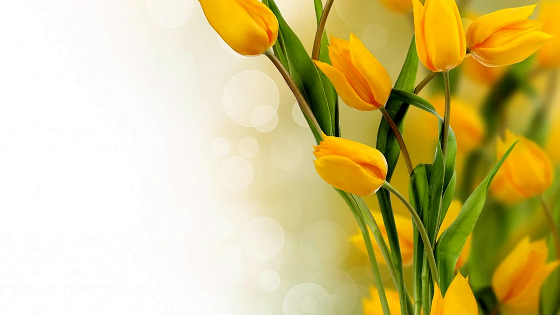 Рамочка с желтыми тюльпанами