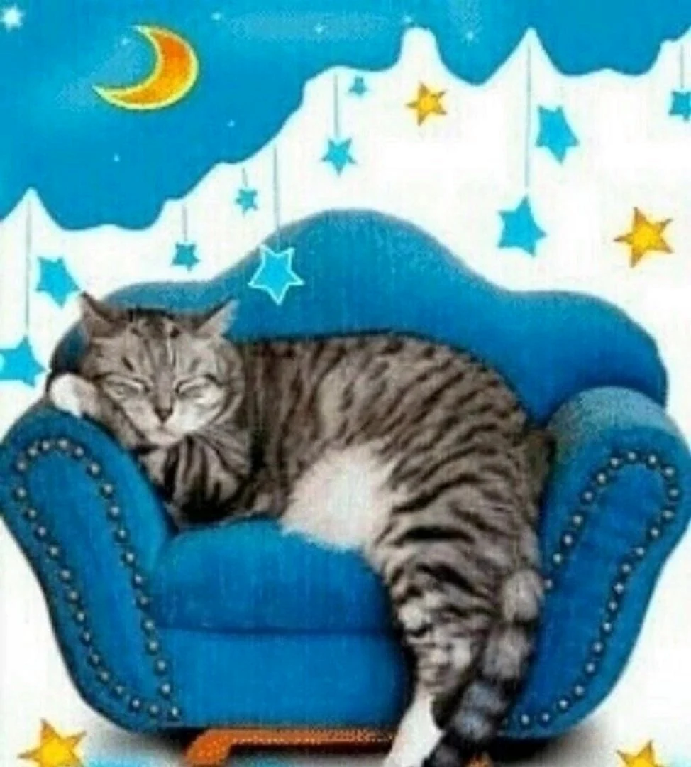 Спокойной ночи с котами сладких снов