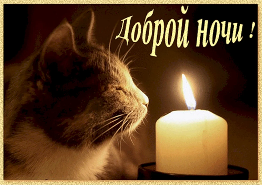 Спокойной ночи со свечами и котиком
